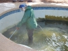 poolduring5