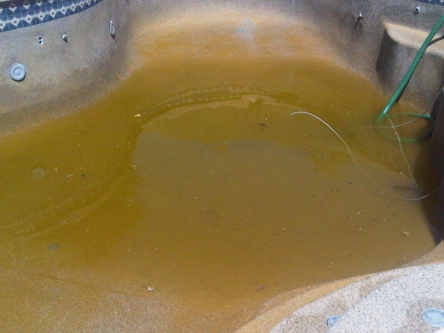 poolbefore10