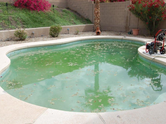 poolbefore12