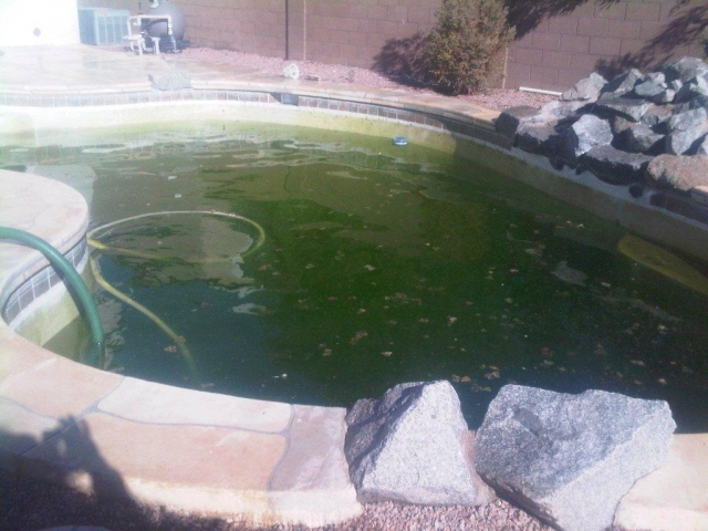 poolbefore9